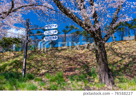 長野縣春天奇野市體育公園的風景 76588227