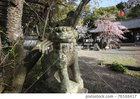 富士山神社 富士山神社 76588417