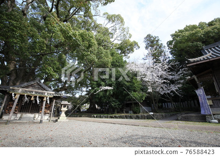 富士山神社 富士山神社 76588423
