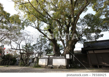 富士山神社 富士山神社 76588425