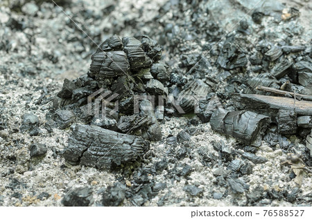 Remains of an extinguished fire with charred branches and ashes. Black pieces of burnt charcoal and gray ash on the ground. Carbonized wood and rests of a fire. Close-up photo. 76588527