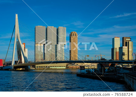 Rotterdam skyscrapers skyline and Erasmusbrug bridge over of Nieuwe Maas river. Rotterdam 76588724