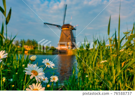 Windmills at Kinderdijk in Holland. Netherlands 76588737