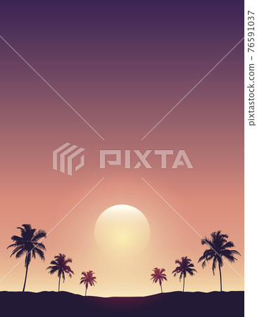 beautiful sunset on tropical palm tree silhouette background 76591037