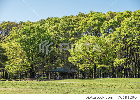 《愛知縣》名古屋市名城公園 76591290