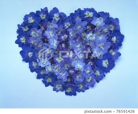 愛心形狀的紫羅蘭花瓣 76591426