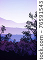 Natural forest mountains horizon hills silhouettes of trees. Evening Sunrise and sunset. Landscape wallpaper. Illustration vector style. Colorful view background. 76591543