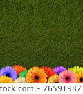 single flower orange gerbera on green background of green grass 76591987