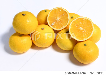 柑橘(湘南金) 柑橘(湘南金) 76592895