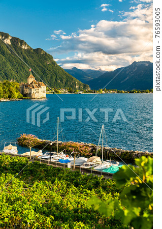 Vineyards and Chillon Castle on Lake Geneva in Switzerland Vineyards and Chillon Castle on Lake Geneva in Switzerland 76593005