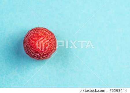 One ripe aromatic raspberry on blue background. One ripe aromatic raspberry on blue background. 76595444