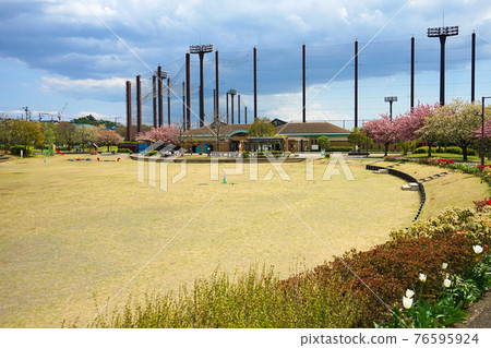 春天瀨谷本鄉公園 76595924