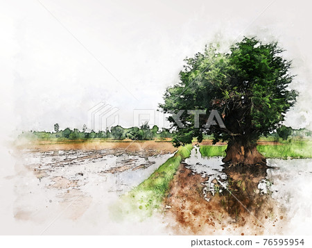 Abstract tree and field landscape in Thailand on watercolor illustration painting background. Abstract tree and field landscape in Thailand on watercolor illustration painting background. 76595954