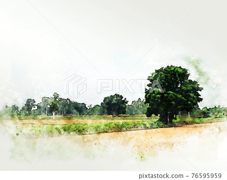 Abstract tree and field landscape in Thailand on watercolor illustration painting background. Abstract tree and field landscape in Thailand on watercolor illustration painting background. 76595959
