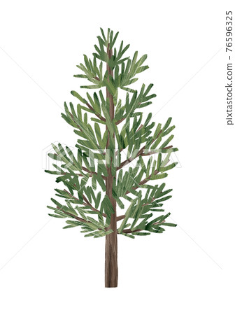 Hinoki hand-drawn illustration Hinoki hand-drawn illustration 76596325