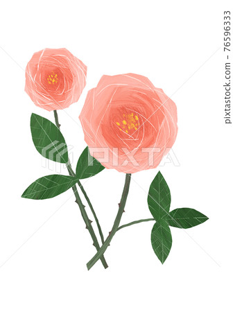 Rose hand-drawn illustration Rose hand-drawn illustration 76596333