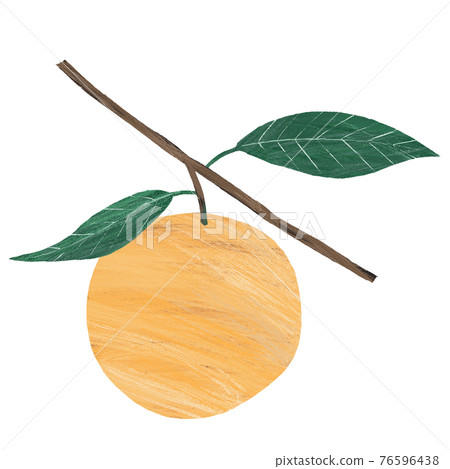 甜橙手繪插圖 76596438