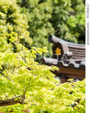 情色泉門鎮周邊風光，楓葉鮮綠 76596817