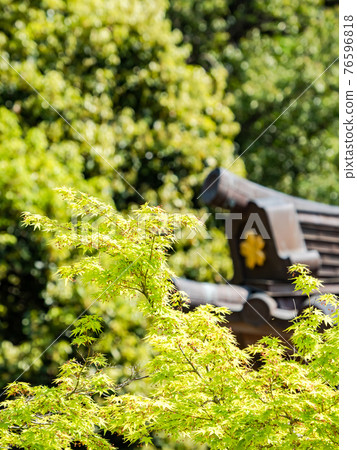 情色泉門鎮周邊風光，楓葉鮮綠 76596818