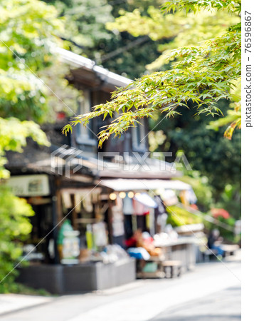 情調泉門鎮周邊風光：翠綠的楓葉和茶館 76596867