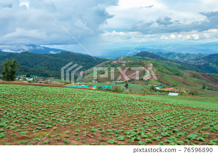 Phetchabun Province, Thailand, Backgrounds, Beauty, Built Structure Phetchabun Province, Thailand, Backgrounds, Beauty, Built Structure 76596890