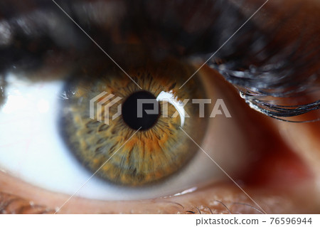 Closeup of beautiful green brown human eye Closeup of beautiful green brown human eye 76596944