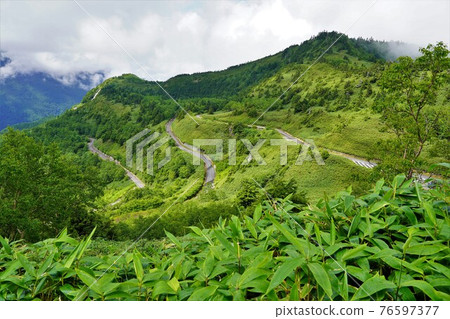 Mountain road to Kasagatake 76597377