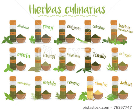 Set of 15 different culinary herbs in cartoon style. Spanish names. 76597747