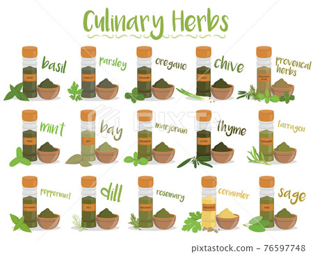 Set of 15 different culinary herbs in cartoon style. 76597748
