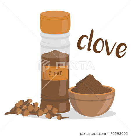Vector clove illustration isolated in cartoon style. Herbs and Species Series 76598003