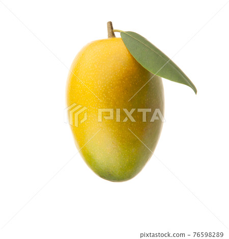 red yellow mango with green leaf isolated on white background red yellow mango with green leaf isolated on white background 76598289