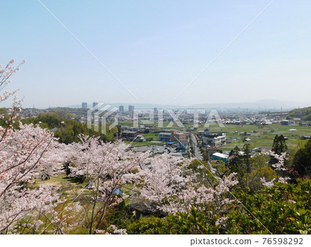Scenery seen from Settsukyo Park where cherry blossoms bloom (taken in March 2021 in Takatsuki City, Osaka Prefecture) Scenery seen from Settsukyo Park where cherry blossoms bloom (taken in March 2021 in Takatsuki City, Osaka Prefecture) 76598292
