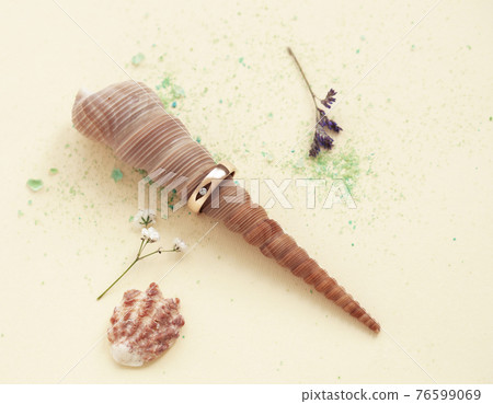 beautiful macro shot of golden wedding ring with sea shell and coral on yellow background beautiful macro shot of golden wedding ring with sea shell and coral on yellow background 76599069
