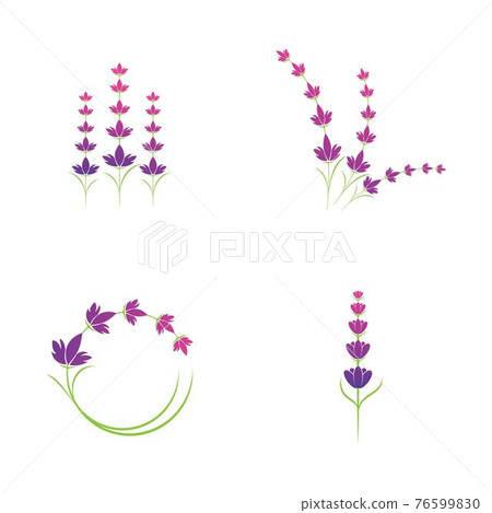 Lavender flower logo symbol template 76599830