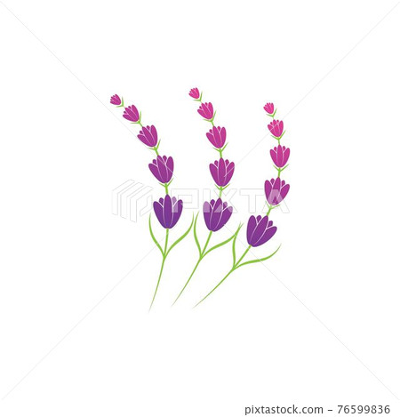 Lavender flower logo symbol template - Stock Illustration [76599836 ...