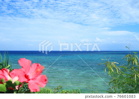 Okinawa's blue sea, blue sky and bright red hibiscus 76601083