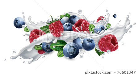 Blueberries and raspberries in a milk or yogurt splash. 76601347