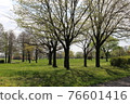 Watarase Setoji 76601416