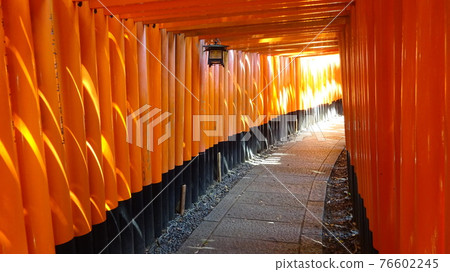Unmanned Senbon Torii ・ The future is bright ・ Vermiliongate ・ This space is monopolized ・ I am the only one ・ Loose Unmanned Senbon Torii ・ The future is bright ・ Vermiliongate ・ This space is monopolized ・ I am the only one ・ Loose 76602245