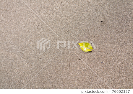 沙灘的沙灘和飄落的落葉 76602337
