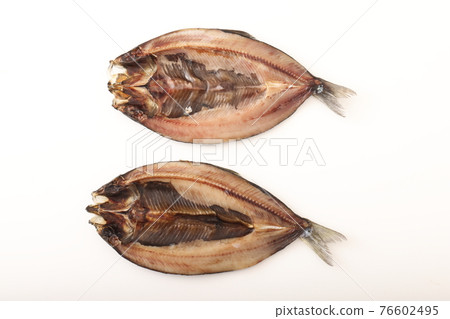 鯡魚開口 鯡魚開口 76602495