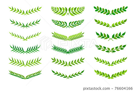 Green semicircular form vintage wreath set vector Green semicircular form vintage wreath set vector 76604166