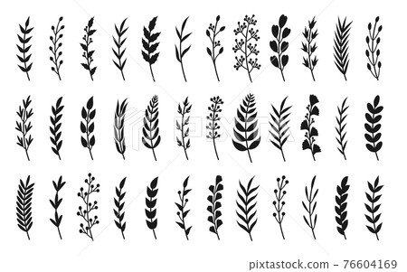 Curved black silhouette laurel branches set vector Curved black silhouette laurel branches set vector 76604169