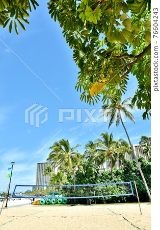 Holidays in Hawaii 76604243