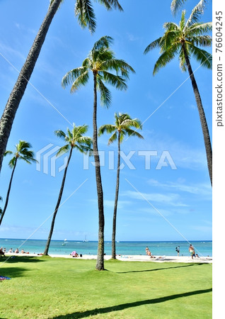 Holidays in Hawaii 76604245