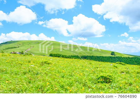 Kurumayama Plateau (Summer) Kurumayama Plateau (Summer) 76604890