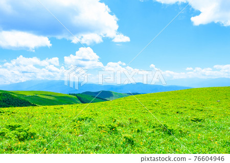 Kurumayama Plateau (Summer) Kurumayama Plateau (Summer) 76604946
