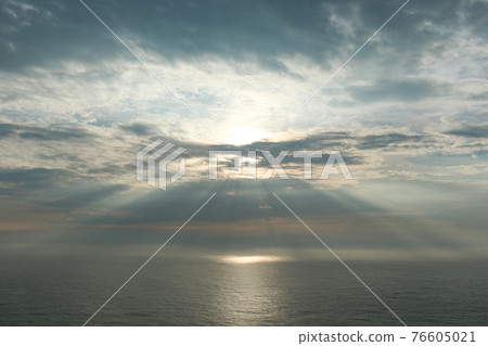 Pacific angel ladder Pacific angel ladder 76605021