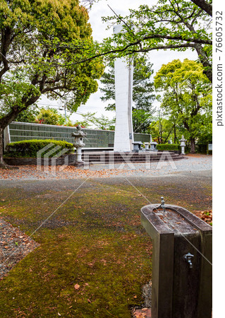 田原坂薩摩之亂公園裡盛開的杜鵑花 田原坂薩摩之亂公園裡盛開的杜鵑花 76605732