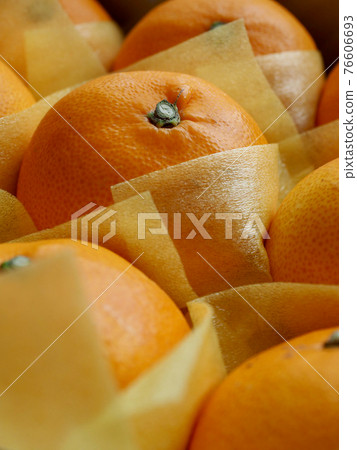 新鮮有機水果橘子，Cheonhyehyang 76606693